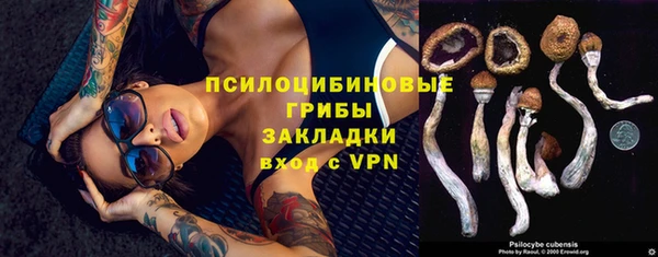 каннабис Аркадак